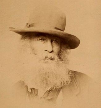 Walt Whitman in 1863. Library of Congress.