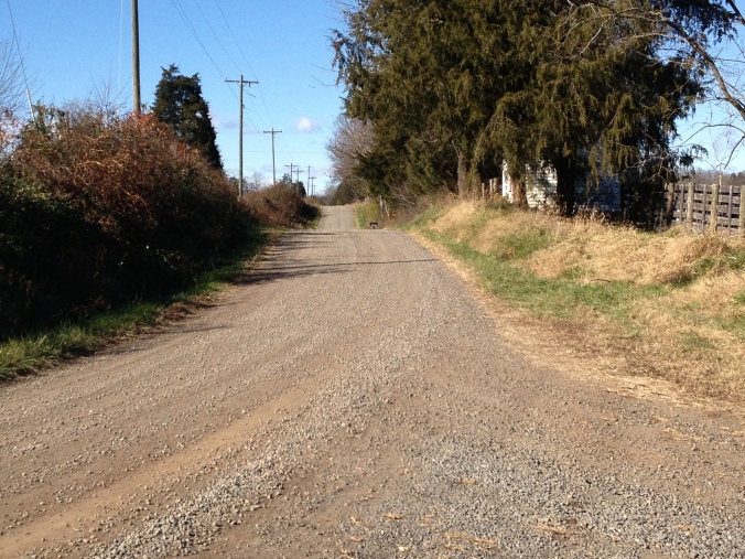 The road from Somerville Ford, Culpeper side. Jackson passed here on August 20, heading away from the camera.