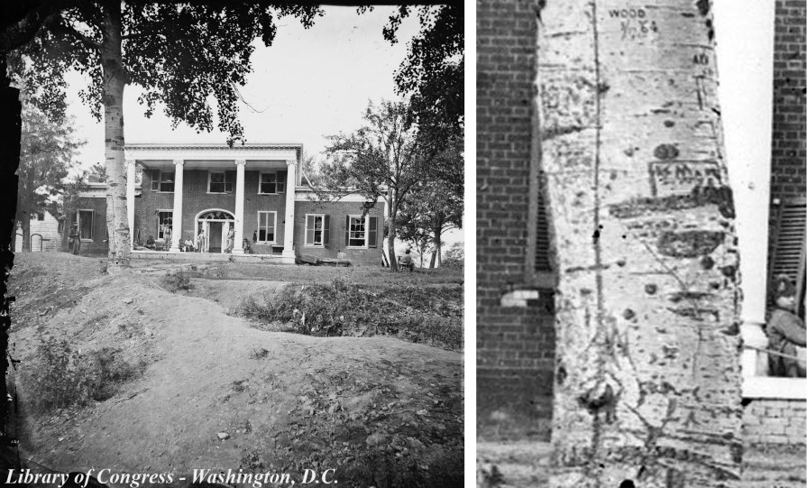 In this May 1864 photograph of Brompton on Marye's Heights (left), tree carvings and graffiti are visible when magnified (right).